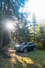 SUV in a Serene Forest Setting