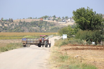Obraz premium tractor carrying harvest in countryside