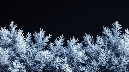 Frosty pattern frame on a black background. Winter overlay design with place for text. Frost on the glass, freezing effect. Christmas crystals concept copy space banner.