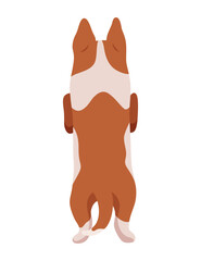 Dog hanging on border. Full body back view. Flat vector design