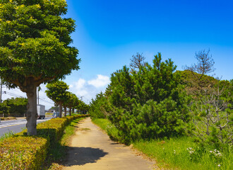 鹿島灘海公園