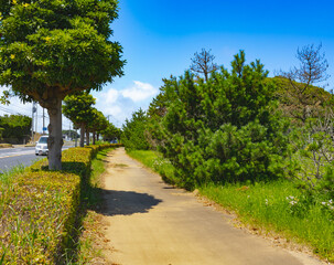 鹿島灘海公園