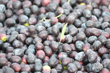 close up of black olive on the market
