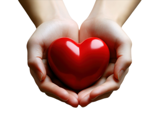 Hands holding a red heart on white background PNG transparent.