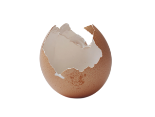 Half broken egg shell on white background, isolated kitchen ingredient. PNG transparent.