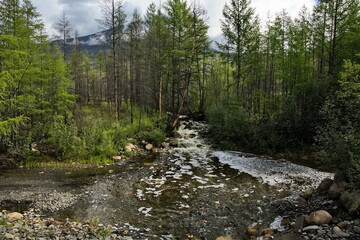 Nameless stream in the Kolyma taiga.