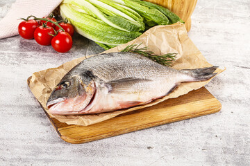 Raw dorada fish served rosemary