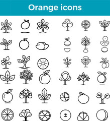Orange icon citrus fruit vector fresh produce healthy food organic farm juicy vitamin symbol