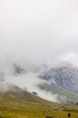Mountains in the clouds. Aerial view of a mountain peak with green trees in the fog. Beautiful landscape with high cliffs, sky. Dedegol. Turkey.
