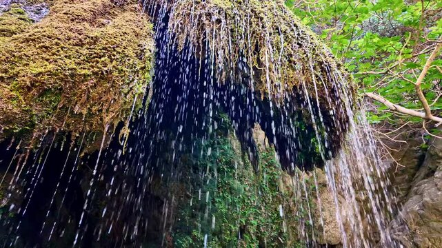Lush green moss-covered rocks with cascading water streams in Richti Gorge, Exo Mouliana, Greece
