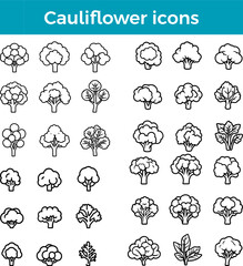 Fototapeta premium Cauliflower icon vegetable vector fresh produce organic farm healthy food garden crop symbol