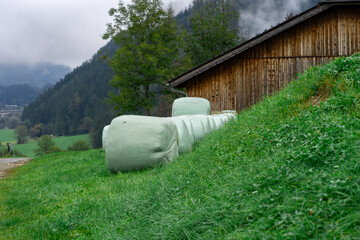 View of haystacks packed in polyethylene, hay harvesting for the winter