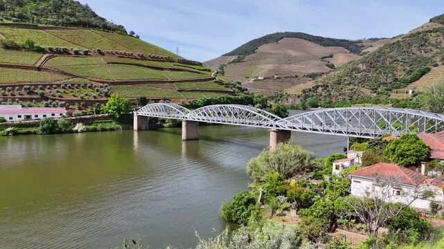 Aerial view of terraced Douro Vineyards on a sunny day, Douro, Vineyards, Portugal, Terraces, Summer
