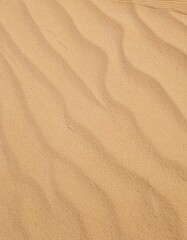 Fototapeta premium sandy place