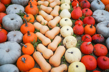 Thanksgiving Table Setting with Pumpkins, Candles, and Fall Foliage – Warm Holiday Mood
