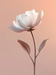 Obraz premium flower