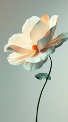 Obraz premium flower