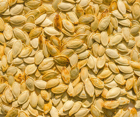 Close-up of pumpkin seeds spread out in a golden natural pattern under sunlight. High quality photo