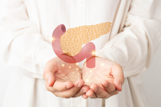 Pancreas organ anatomy on doctor hands. Awareness of pancreatitis and pancreatic cancer concept.