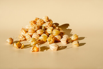Husk tomato (Physalis) cape gooseberry, tomatillo, husk cherry, ground cherry bladder cherry,...