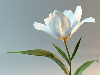 Fototapeta premium flower