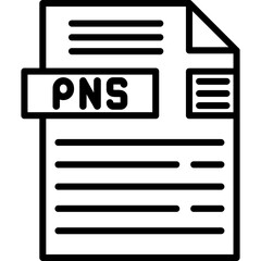 PNS File Format Icon