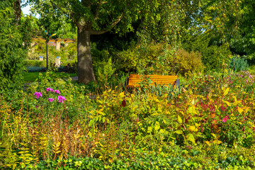 A wooden bench sits peacefully amidst lush greenery in a garden