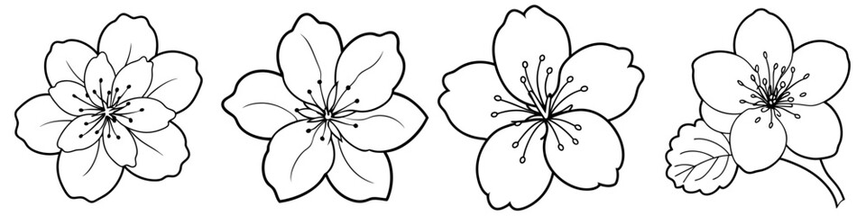 line art vector illustration collection of cherry blossom . isolate on a white background. SVG and PNG
