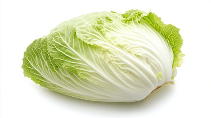 Whole Napa cabbage with crisp fresh leaves