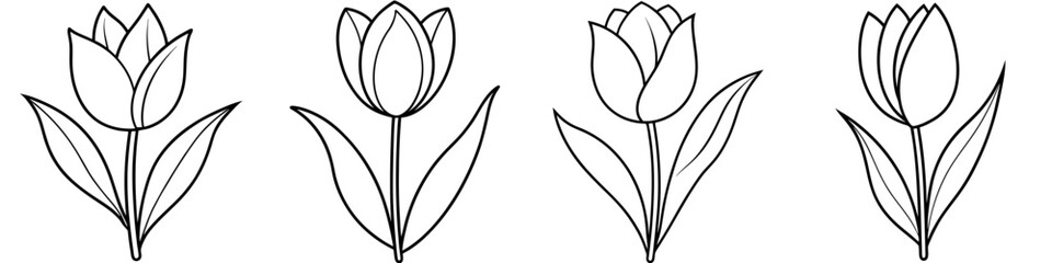 line art vector illustration collection of tulip . isolate on a white background. SVG and PNG

