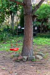 A red swing hangs from a tree branch in a backyard