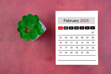 Calendar page for February 2025 and houseplant on retro background.