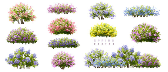 collection of flowers, Vertor set of spring blossom tree,blooming plants side view for landscape elevation and section,eco environment concept design,watercolor shrub illustration,colorful season
