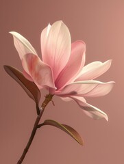 Obraz premium flower