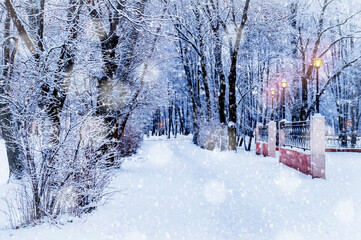 Winter wonderland landscape. Winter landscape with falling snowflakes - winter alley covered with...