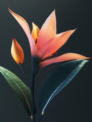 Obraz premium flower