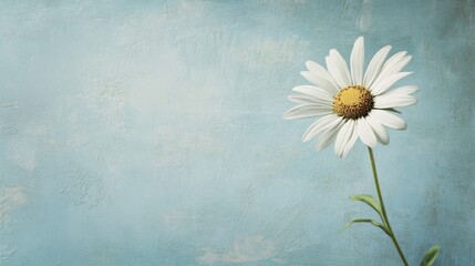A single daisy with white petals and a yellow center on a blue background.