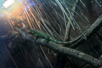 A vibrant green lizard is comfortably sitting atop a smooth rock in the warm sandy area, enjoying its surroundings and basking in the sun