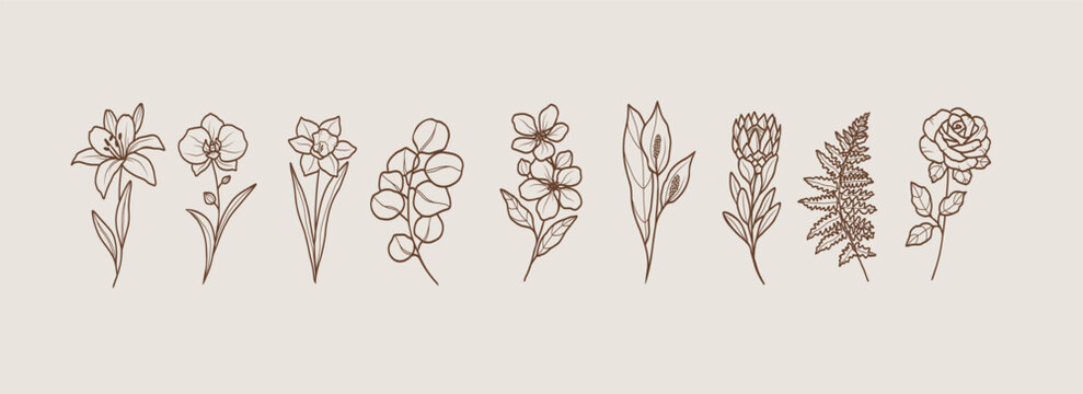 Line art botanical logotypes. Lily, orchid, daffodil, eucalyptus, apple blossom, spathiphyllum, protea, fern, rose illustration