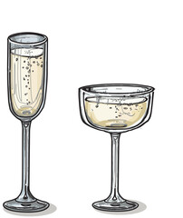 two different champagne glasses isolated on white background