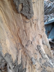 The lines are drawn from pieces of wood