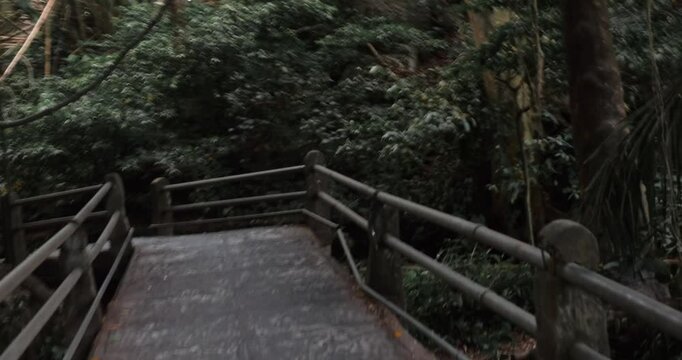 Epic slow-motion bike ride across the bridge through the Monkey Forest in Ubud, Bali, capturing this stunning tropical paradise's lush surroundings.