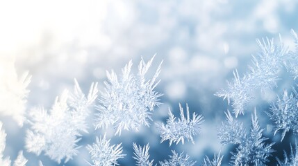 Obraz premium Close up of abstract frost pattern. detailed abstract winter background texture 