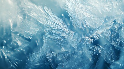 Obraz premium Close up of abstract frost pattern. detailed abstract winter background texture 