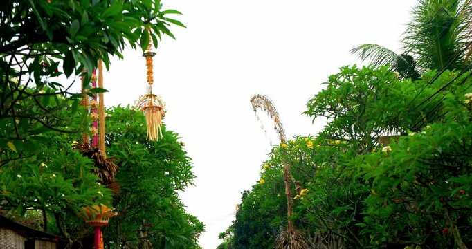 Motorcycle tourist trip by bike through the narrow Bali streets decorated with penjor poles 