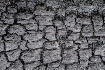 Old wooden boards burned by fire