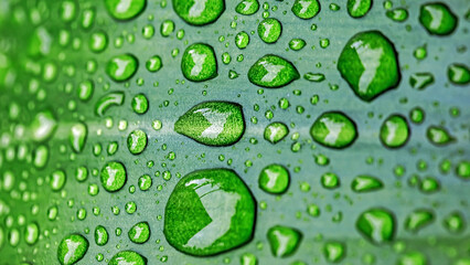 water drops on green leaf