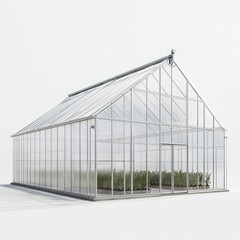 Fototapeta premium Industrial glasshouse architecture in a greenhouse, showcasing plants and horticulture