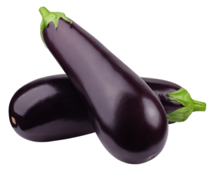 Eggplant isolated on white background, full depth of field