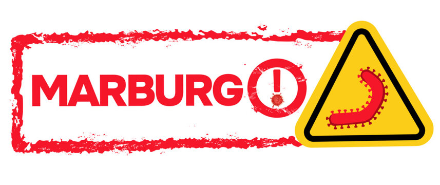 attention, alert and early warning of the spread and transmission of plague, epidemic or pandemic virus marburg with stamp written the sentence 'marburg'  text vector illustration eps editable text